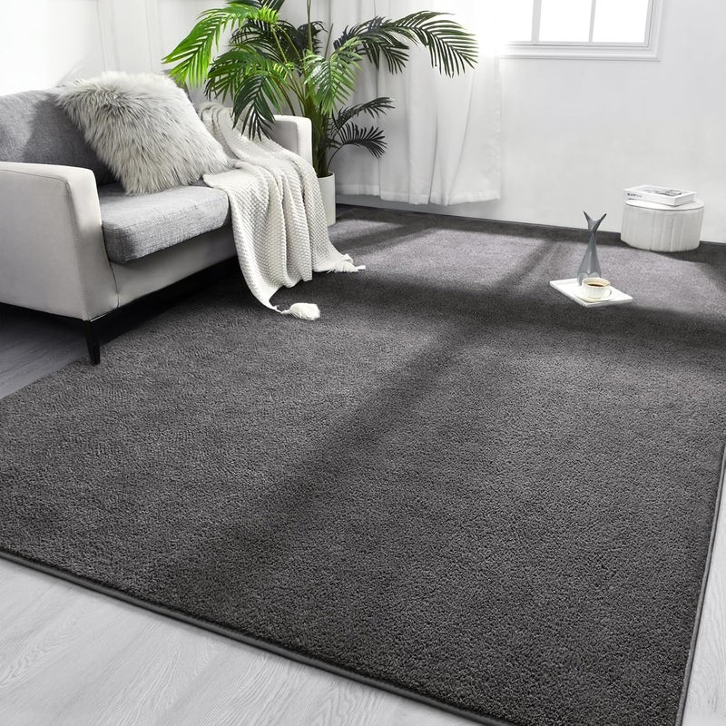 FlyDOIT Area Rugs for Bedroom Living Room, 4x6 Dark Grey Super Soft Comfy Thickened Memory-Foam Indoor Carpets, Modern Aesthetic Minimalist Carpet for Boys Girls Adults Apartment Nursery Home Décor - Image 1
